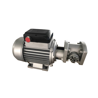 CDI-P30 80LPM High Flowrate Oval Gear Fuel Tranfer Pump